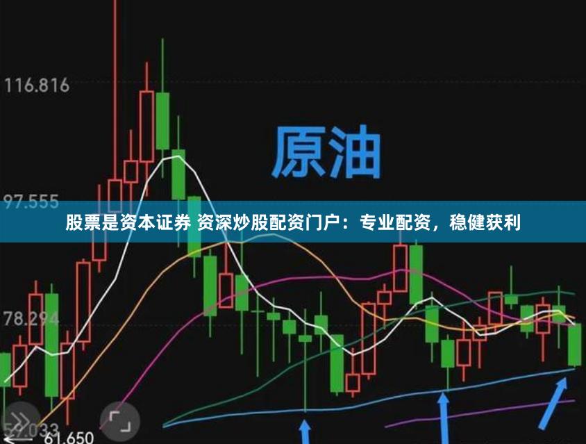 股票是资本证券 资深炒股配资门户：专业配资，稳健获利